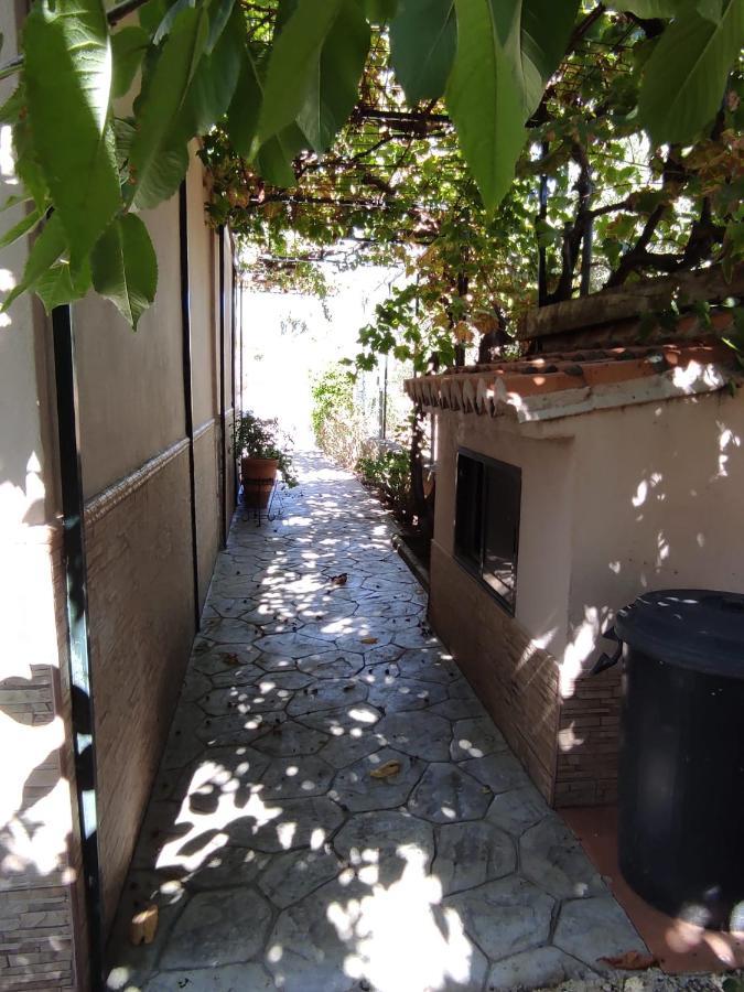 Los Abuelos Setenil De Las Bodegas Exterior photo